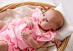 3 Months