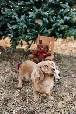 Too cute!