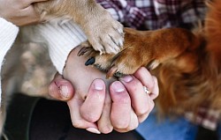 Unbreakable bond